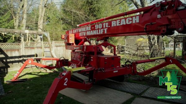 Mike's Tree Service