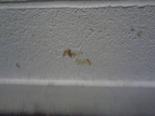 possible blood stain on wall?