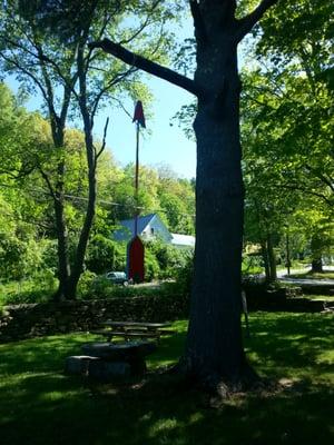 Giant arrow hanging from a tree pointing up. We suspect it once pointed to the store.