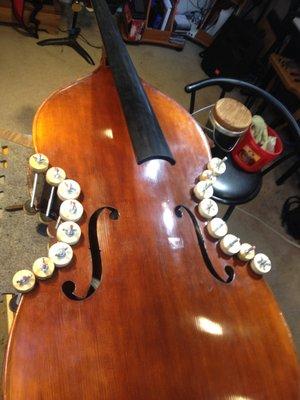 Setups, maintenance to major repairs - Double Bass is my specialty.