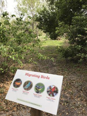 Demonstration Garden & Wetland's Pond Area