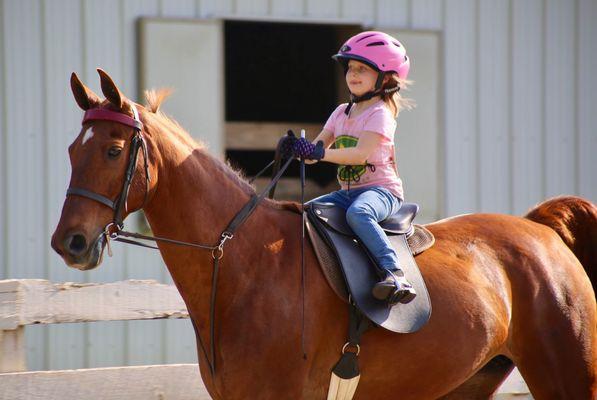 Lenux Stables & Riding Academy