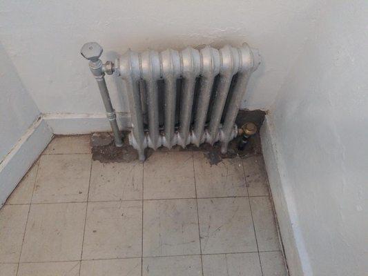 cast iron radiator for any kind of boiler.