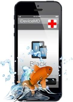 Nashville iPhone Water Damage Repair