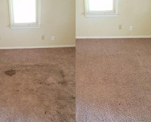 Before and after carpet cleaning