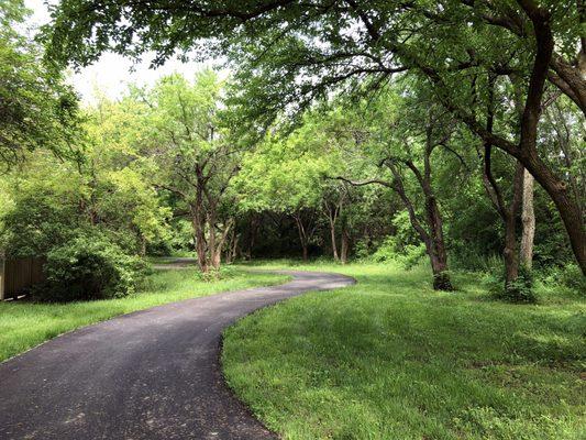 Wooded Portion of the Path