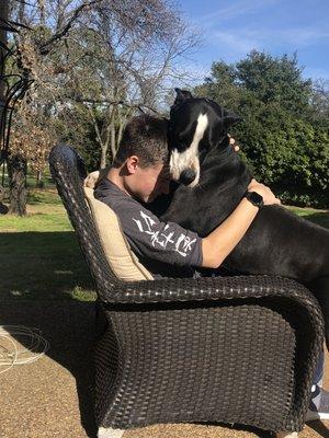 Bella our Great Dane is a favorite client! :)