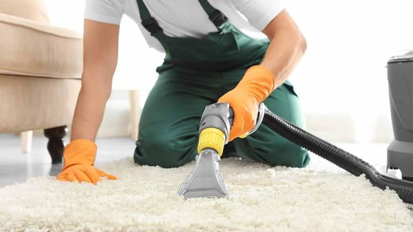 Renew Carpet Cleaning