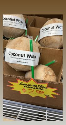 These coconuts are filled with the best tasting coconut water