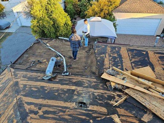 Roof Replacement