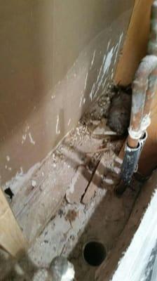 This is inside of someones wall where we found a open plumbing pipe along with a dead rat