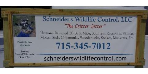 Schneider's Wildlife Control