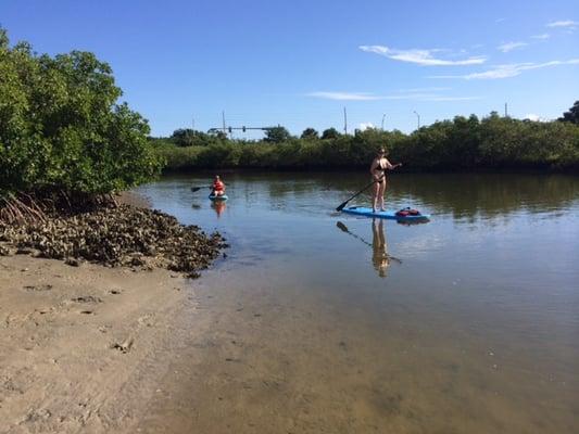 Paddles Up Tours