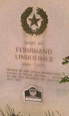 Lindheimer was a local botanist who named a lot of the plantlife and flora in Texas.