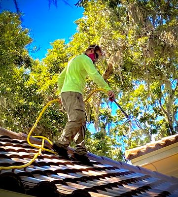 Softwash roof cleaning.