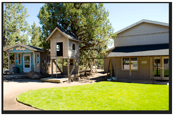 The blue shack is Tumbleweed's bunny barn. The last one was Sage Brushes'.