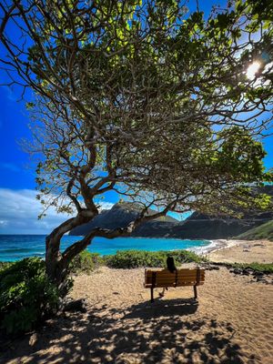 Makapuu Beach Park