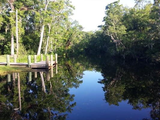 Thomas Creek Preserve