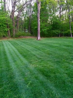 Lawn Maintenance