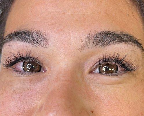 Long Classic Lash Set