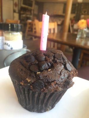 Chocolate muffin