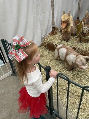 Baby Jesus and Nativity Scene at Christmas Wonderlands