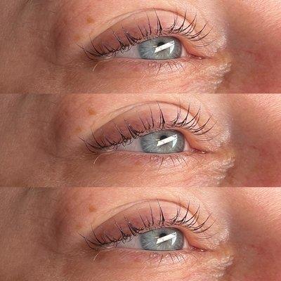 Lash lift + tint