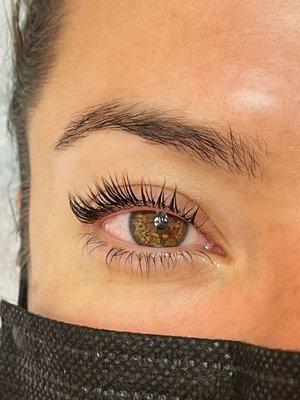 Lash Lift