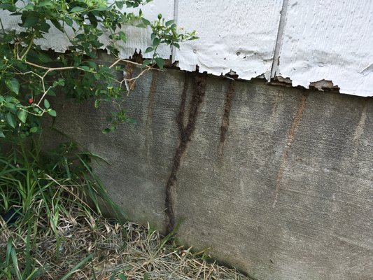 Termite damage and tunnels on the foundation of our customers home.