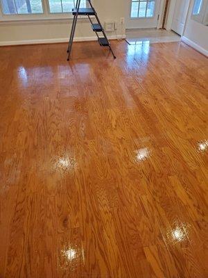 Standard mopping service of hardwood