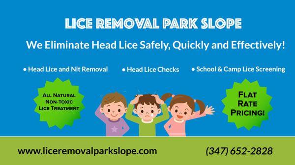 Professional lice removal in park slope