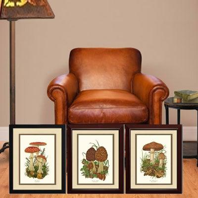 Mushroom Botanical Prints