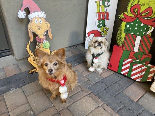 Before their haircuts