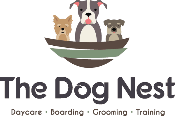 Call us at (262)202-8202 for a tour of The Dog Nest.