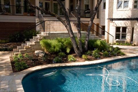 Newly installed landscape around pool.