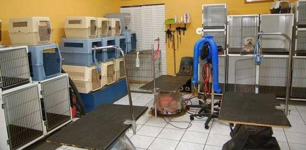 Kute Kuts Pet Grooming and Installation Miami