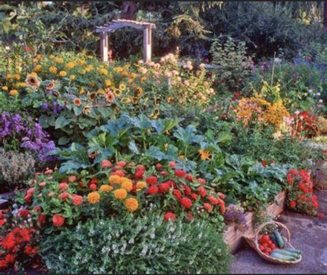 Full Circle Garden Solutions