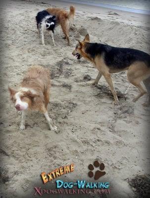 Beach and bath day!