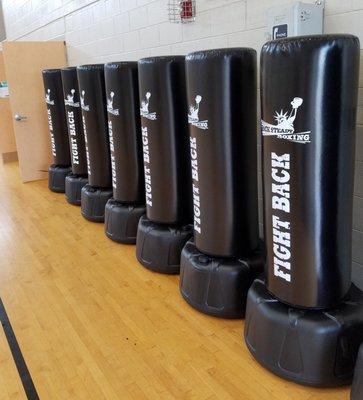 10 fancy new punching bags to smack around the gym!