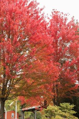 Splash pad in the fall