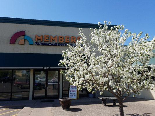 Members Cooperative Credit Union - North Branch, MN (exterior)