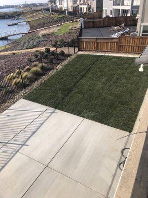 Concrete, flower and grass area