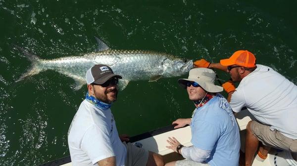 Tarpon!