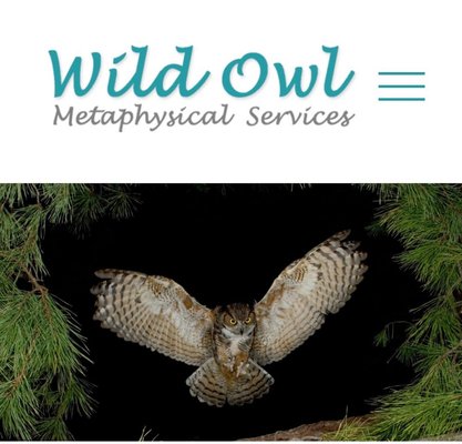 Wild Owl Metaphysical Services