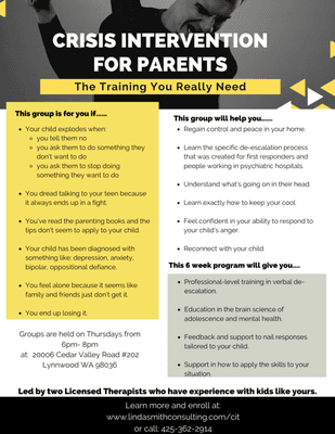 Parent Training in Verbal De-escalation - for people who are parenting teens who have behavior issues or mental health problems.