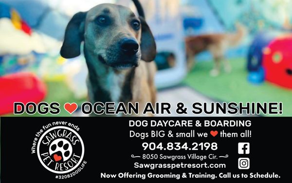 Sawgrass Pet Resort