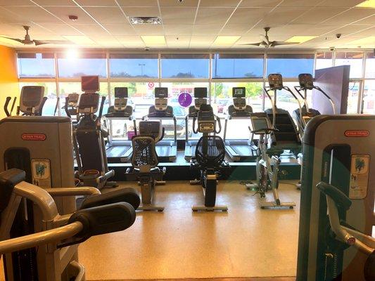 Cardio Equipment