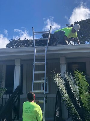 Gutter cleaning