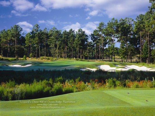 Par 3 16th hole at Leopard's Chase