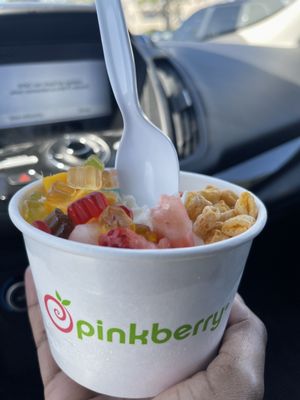 Medium Yogurt with 5 Toppings